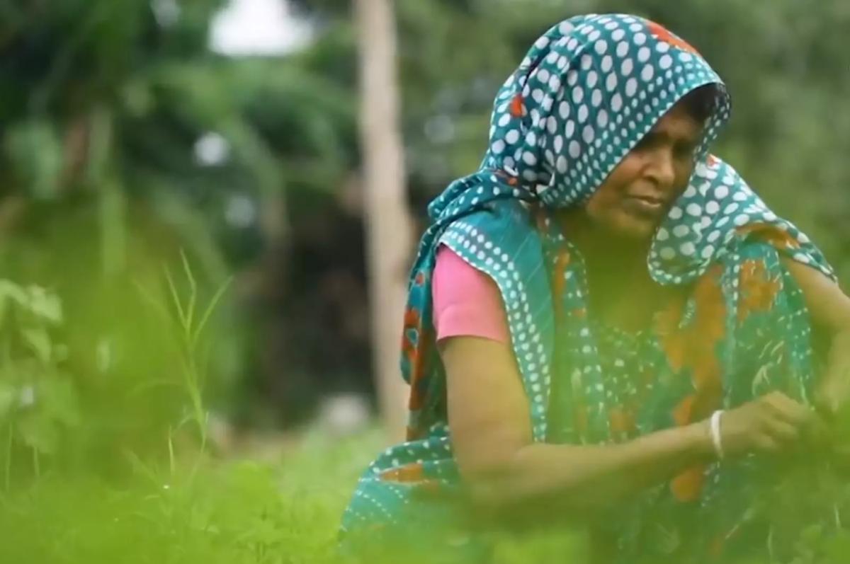 Image courtesy of Mastercard Woman in traditional South Asian clothing working in a field