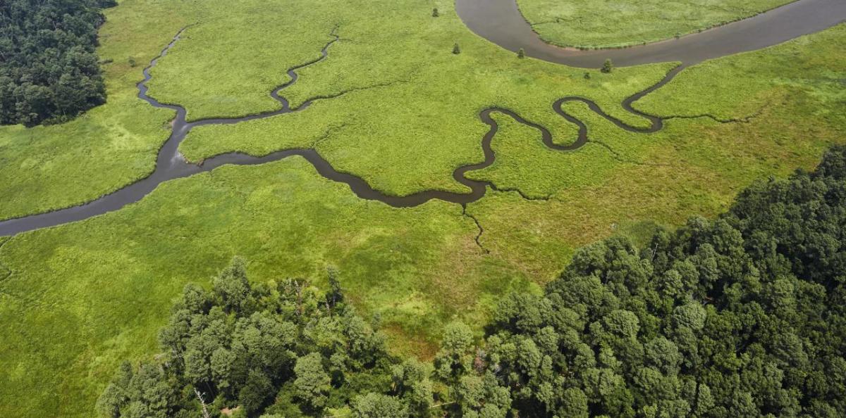 Aerial view of a winding river in a lush green area.