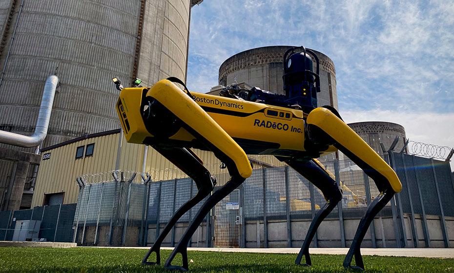 Spot, the robot dog