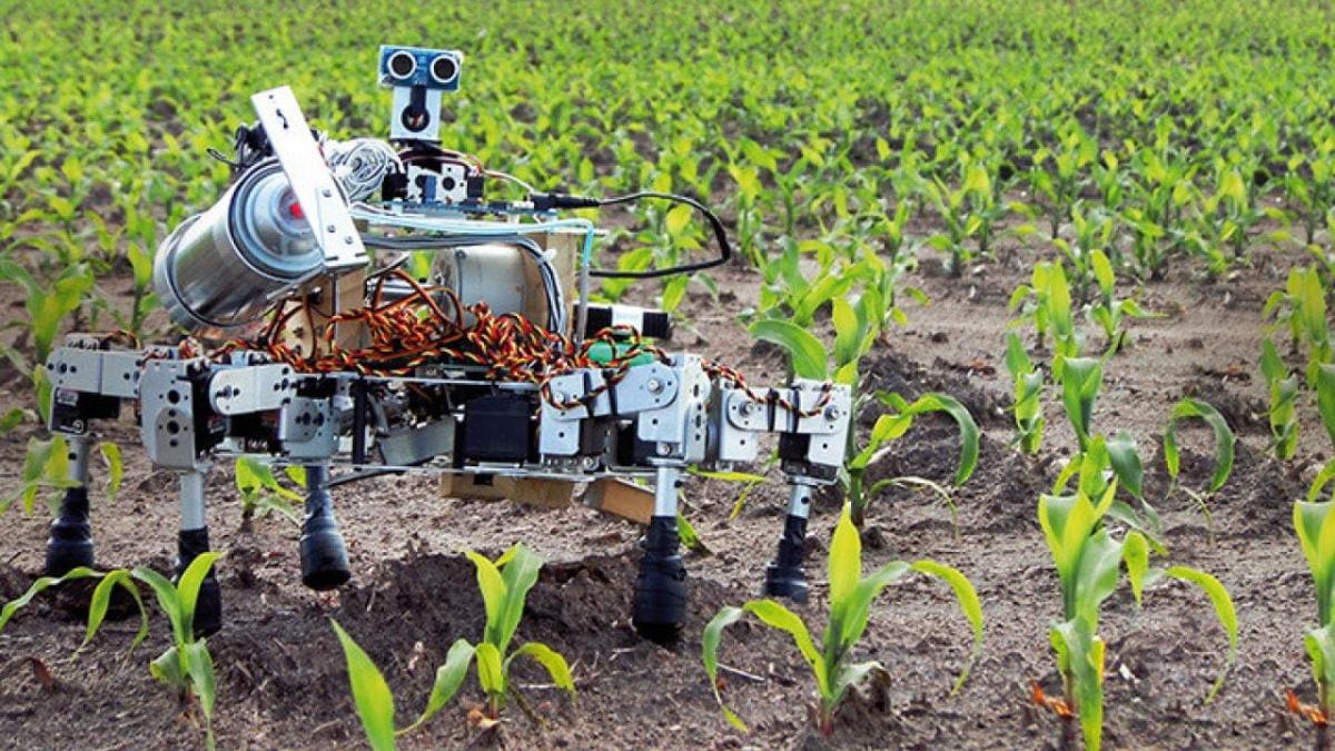 Can a robot be sustainable?