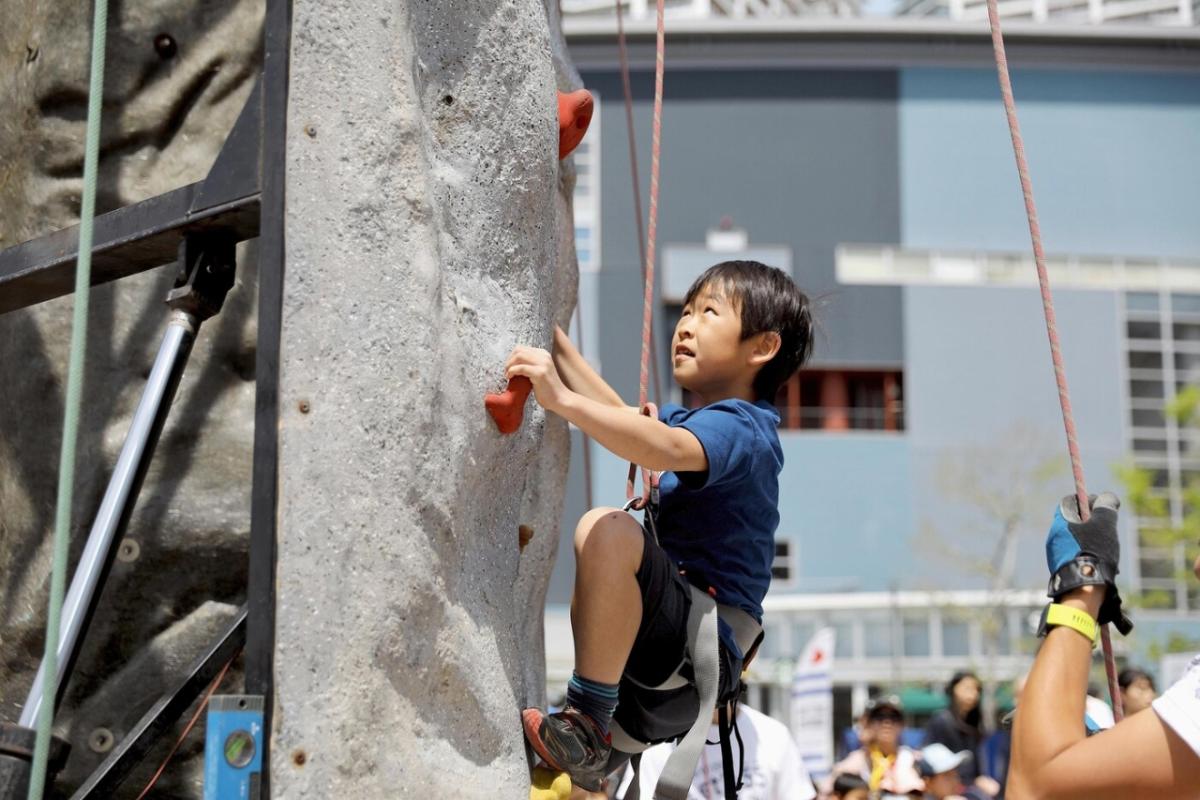 a child on a rock wall