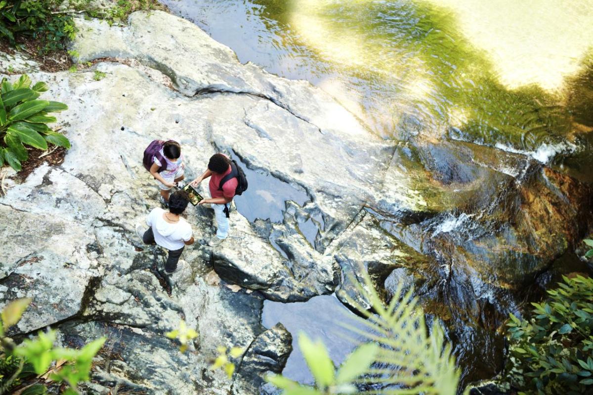 Three people looking at a device, standing on a large, wet, rock surface outdoors.