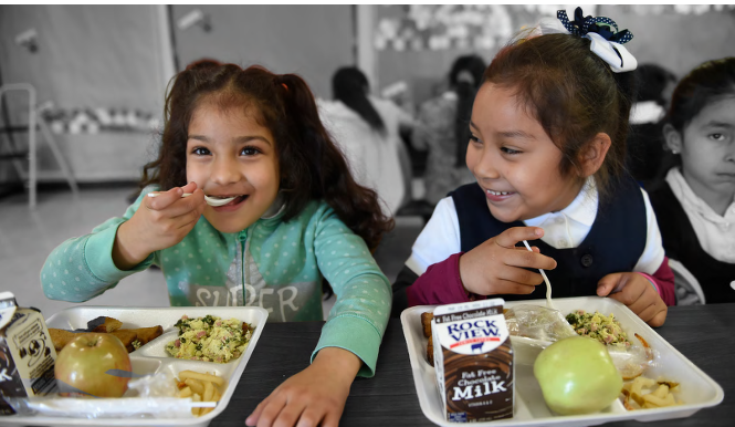 Two children eating school lunches