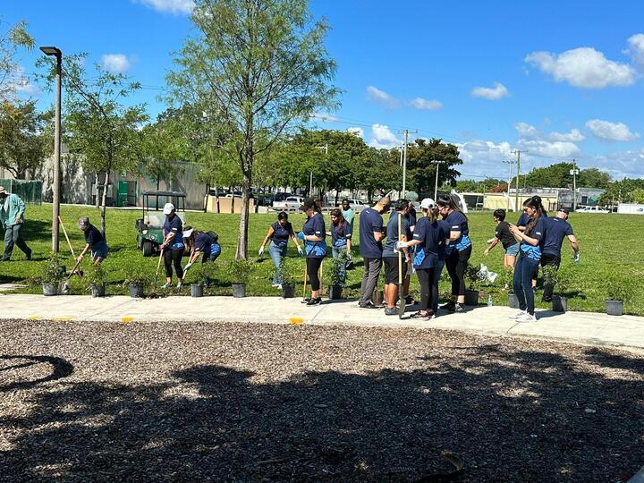 volunteers at work at a park