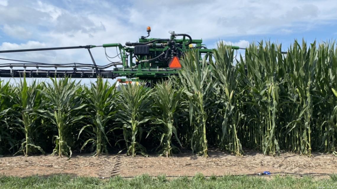 a field of corn, some shorter than others, and machinery going through them.
