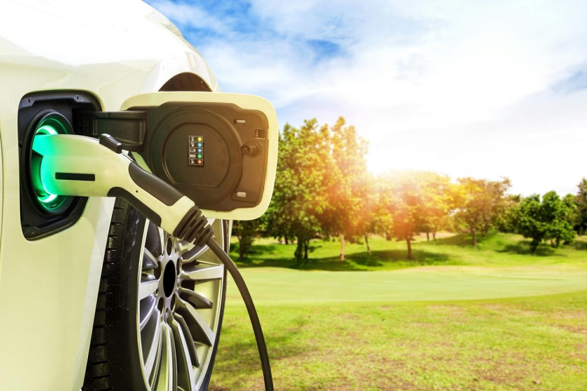 Simple actions can make a big difference in rapidly reducing greenhouse gas emissions. Simple actions can make a big difference in rapidly reducing greenhouse gas emissions.