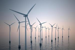Image courtesy Climate Group website