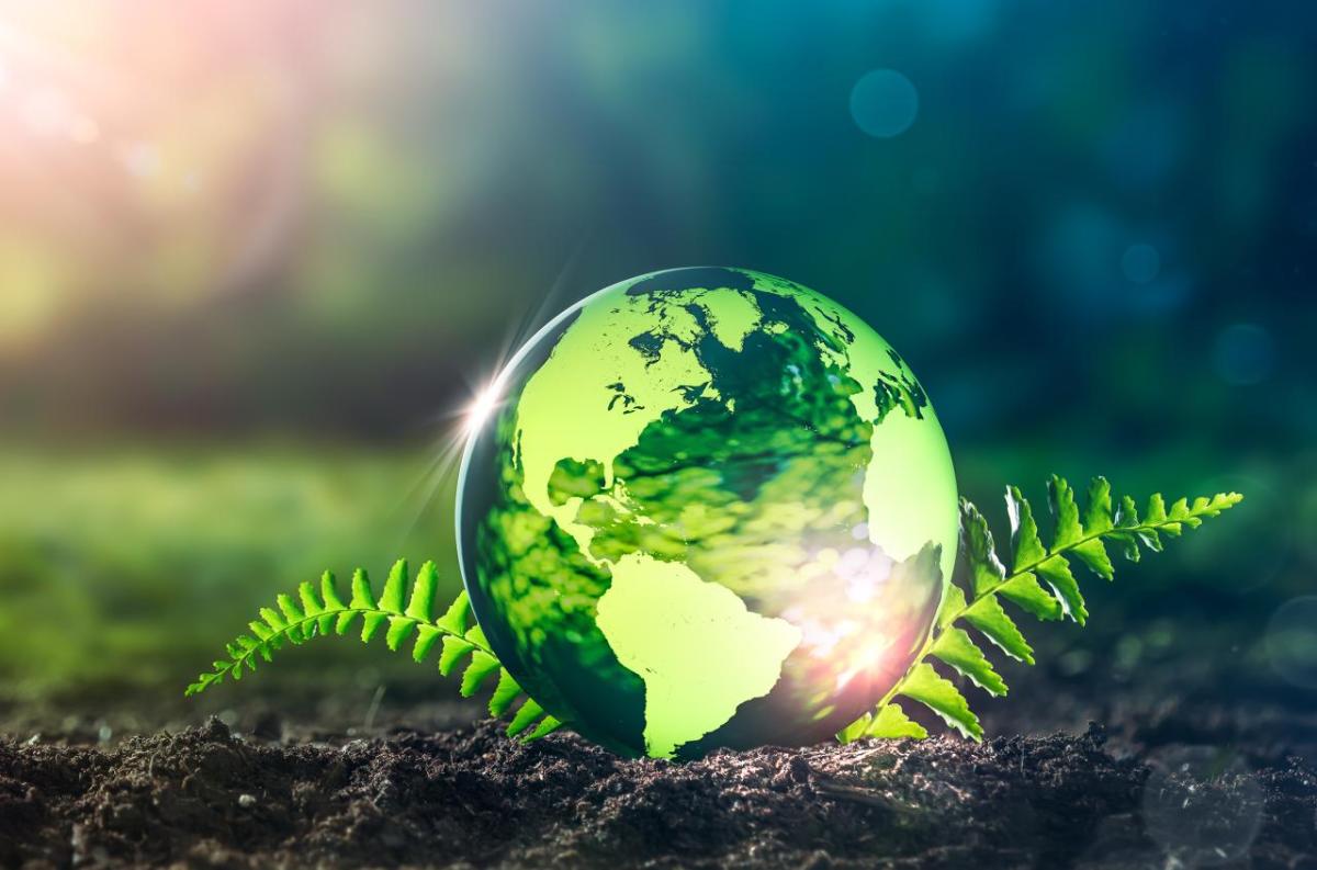 the earth growing from the ground