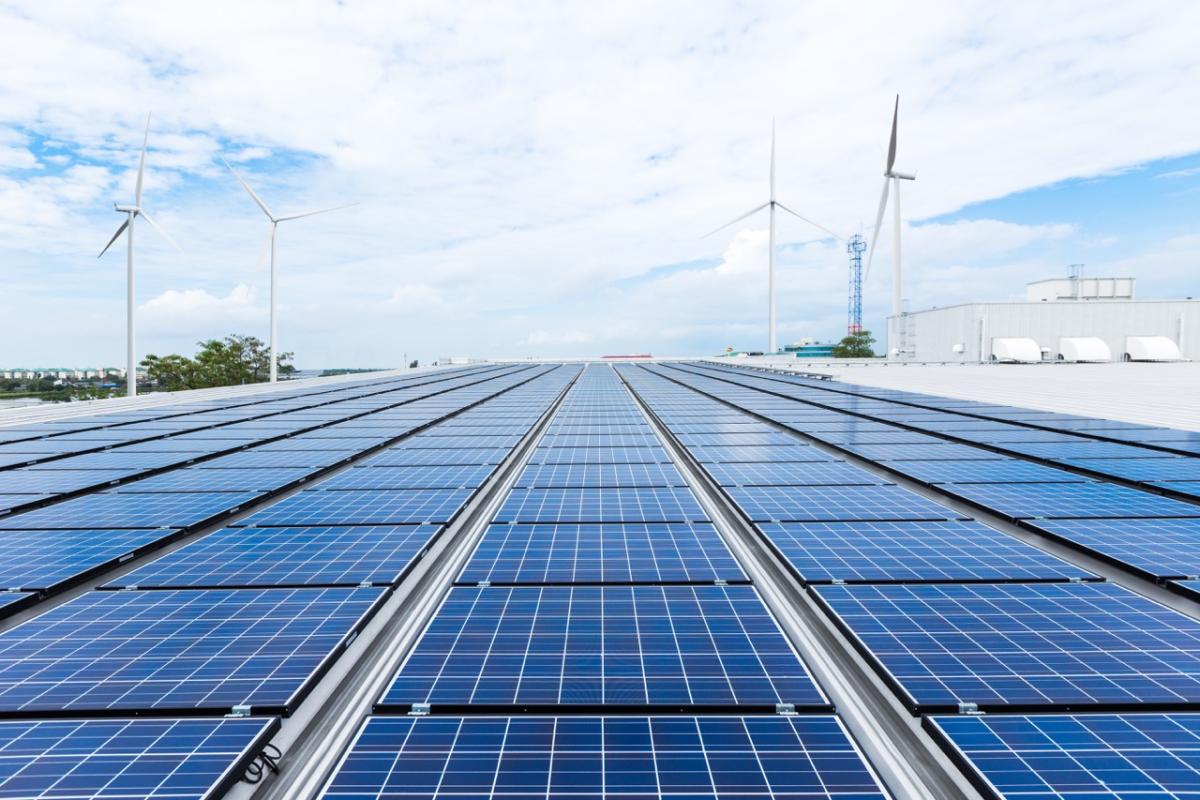 field of solar panels