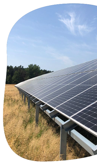 Close up of a row of solar panels in a field