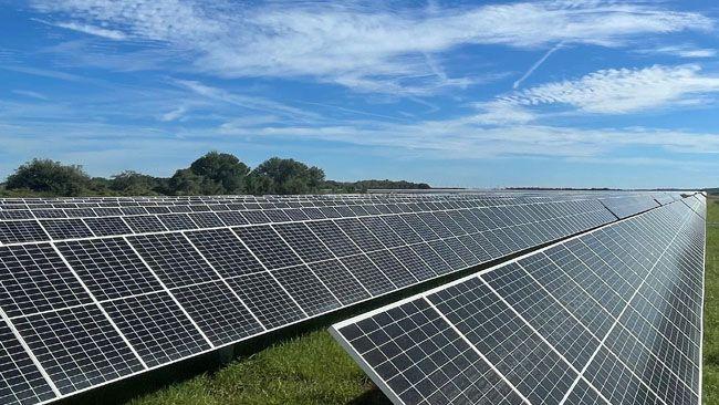 Long rows of solar panels in a field.
