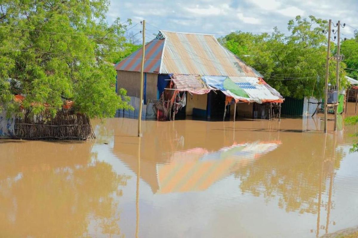 In Ethiopia's Somali region, many villages are nearly submerged.