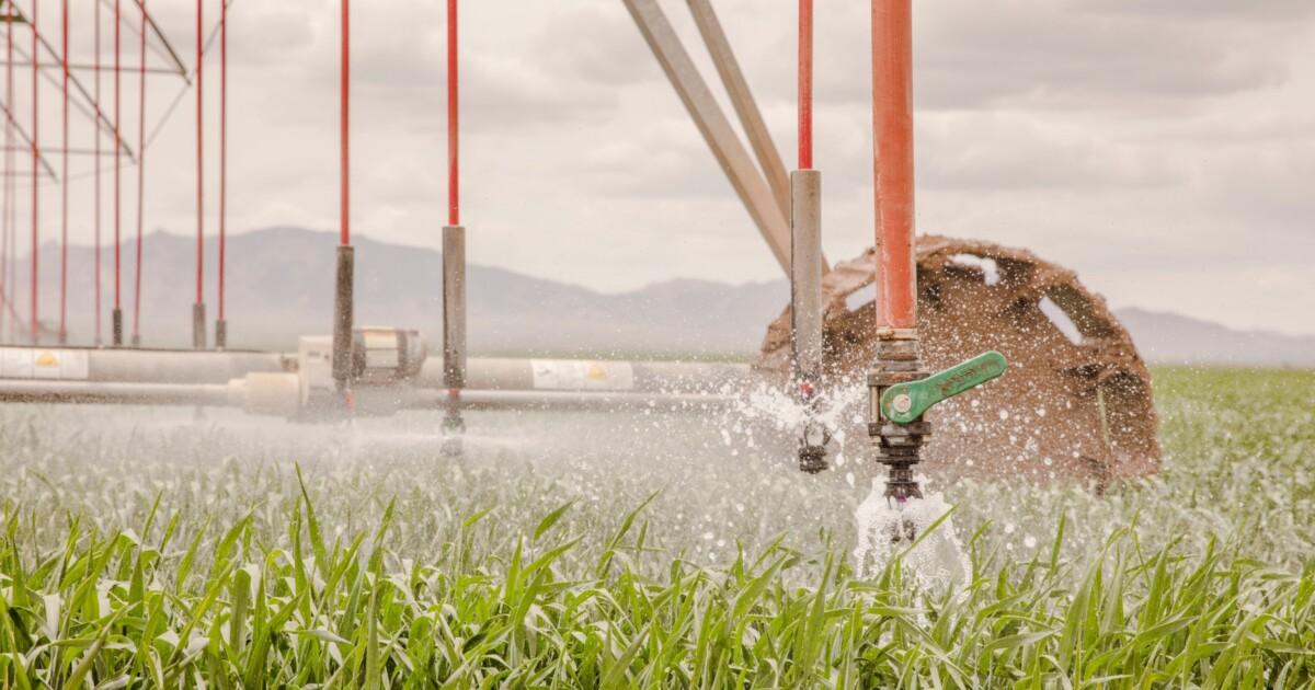 Sprinkler system over grass