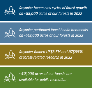 info graphic statistics about Rayonier forests