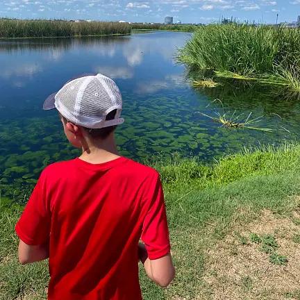 A child looking out at the wetlands