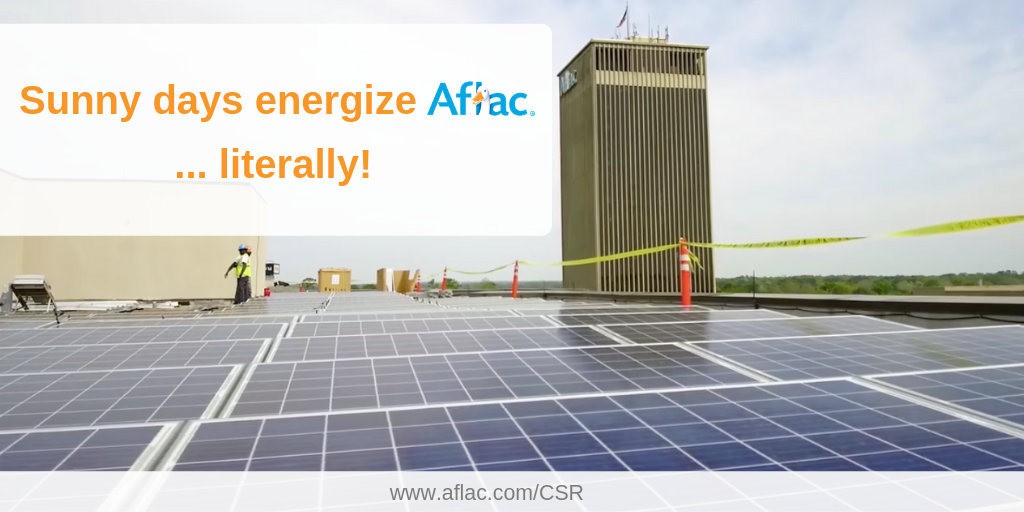 Solar Energy at Aflac