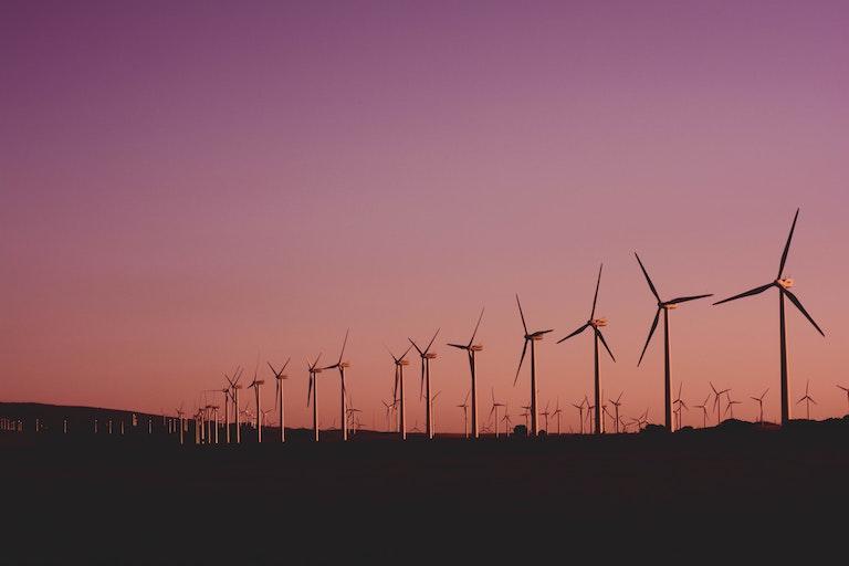 Image: Pexels/Narcisa Aciko