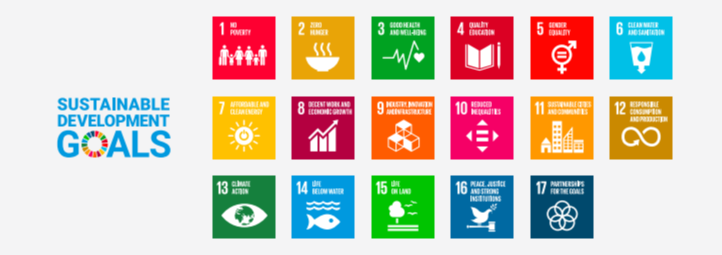 Sustainable Development Goals and 17 symbols in boxes for each one