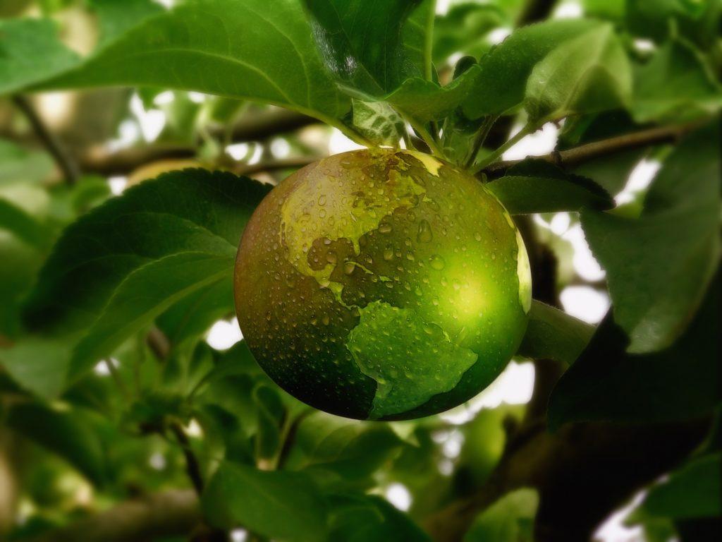 Image of a "green" world hanging from a tree 