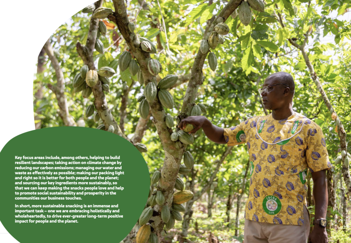 Farmer tending cocoa plants. Text found in article.