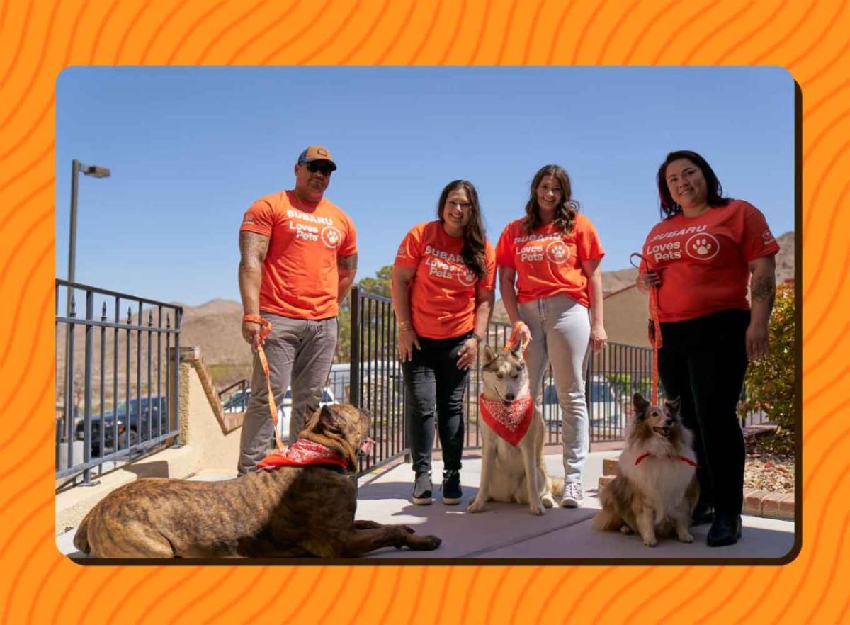 Four people in matching shirts with their dogs on leashes