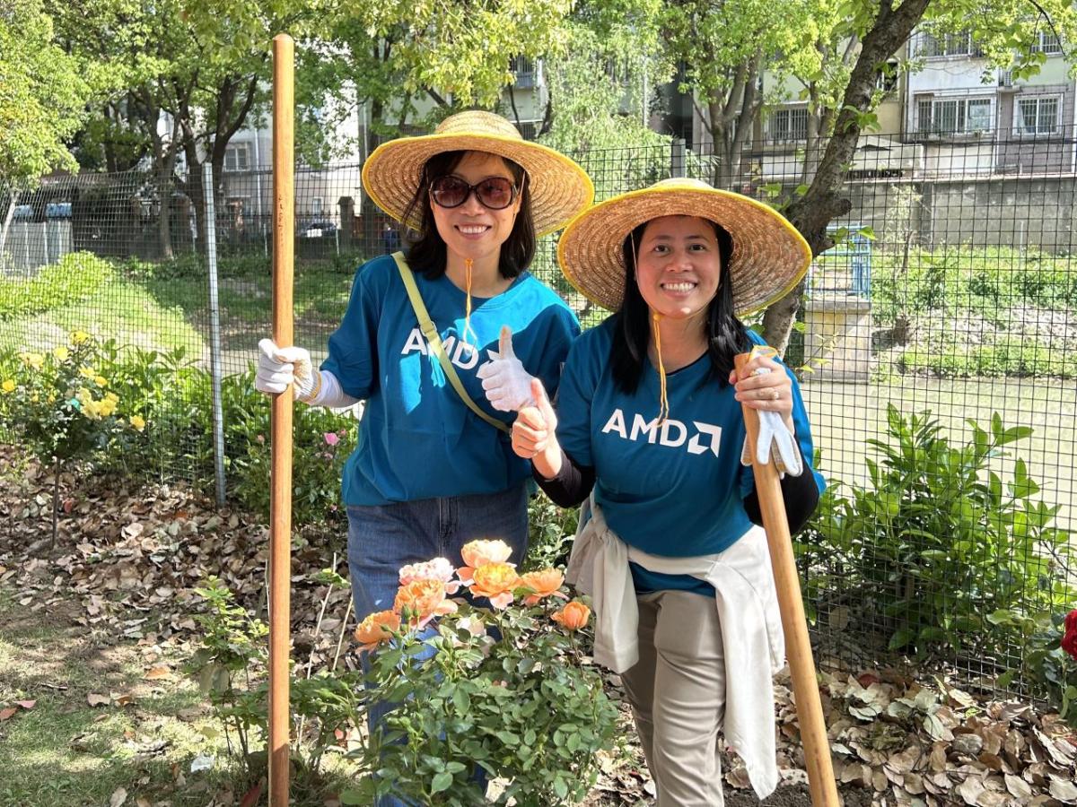 volunteers around a plant