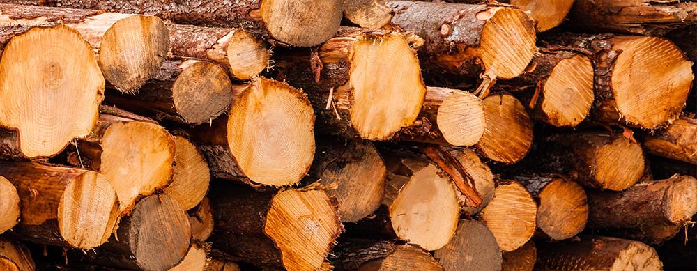 Close up of a stack of cut timbers