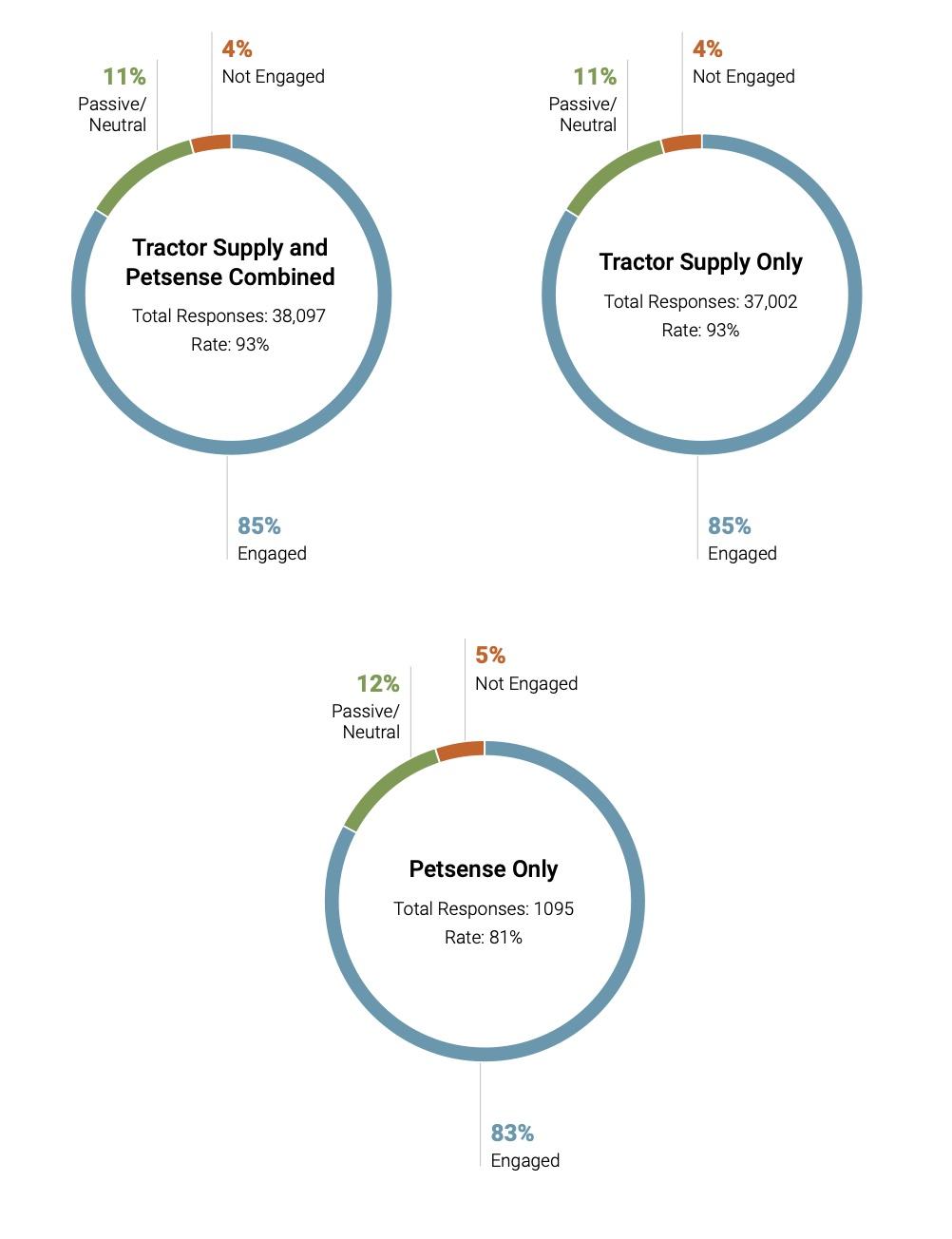 survey infographic