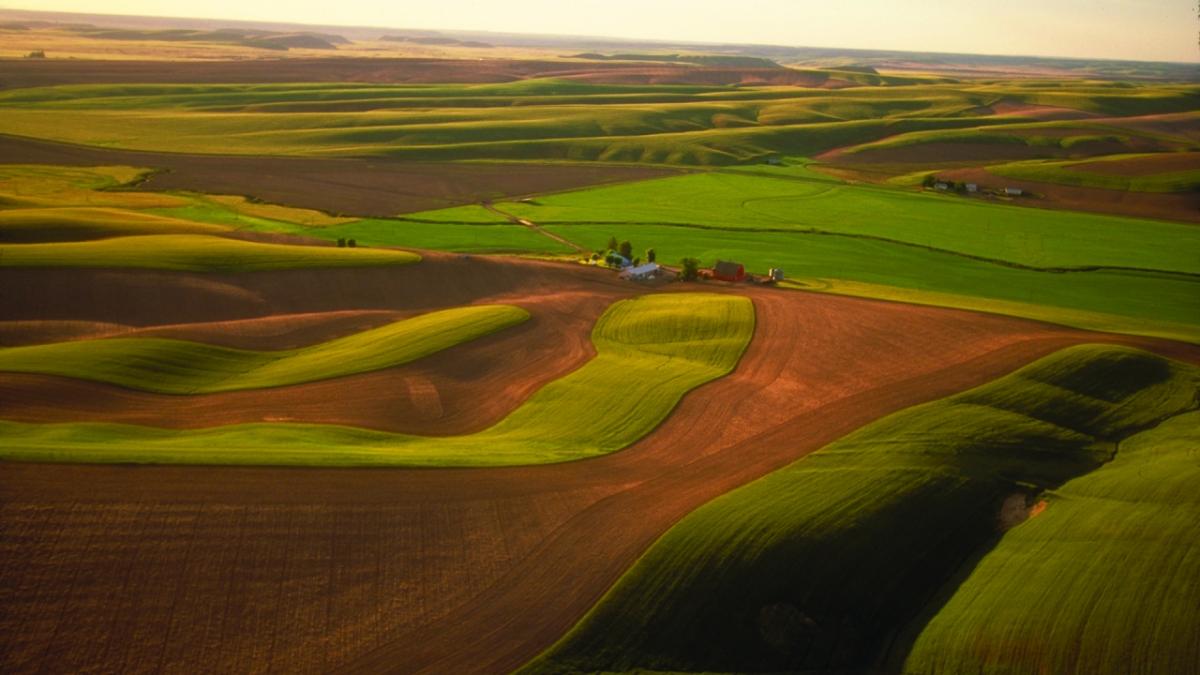 Palouse Country, eastern Washington: TransCanada's GTN System traverses one of the most prolific wheat-growing regions in the world. GTN provides the energy Columbia Pulp uses to turn waste wheat straw into commercial paper pulp.