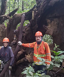 A team posing with tree roots