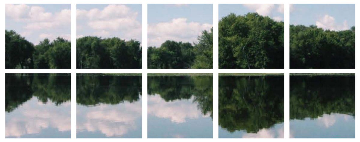 trees and sky reflected and placed in squares