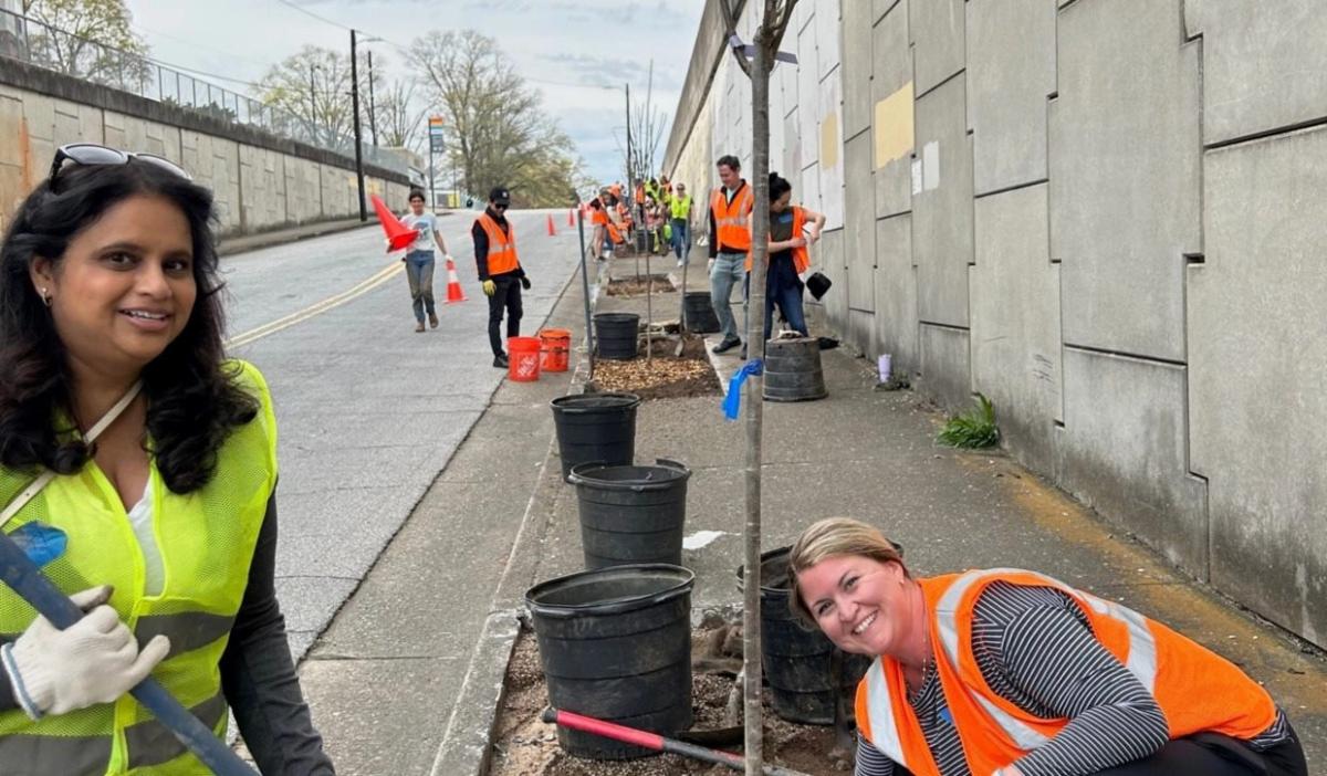 Volunteers planting trees on the side of a road.