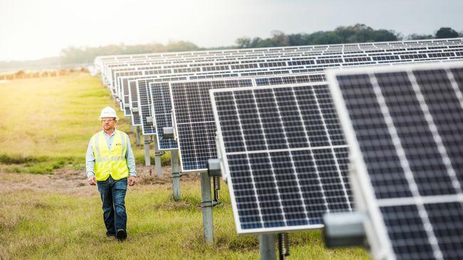 A person walking through a solar farm 