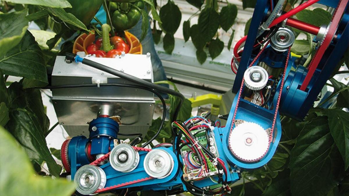 robotic arm grabs a red pepper