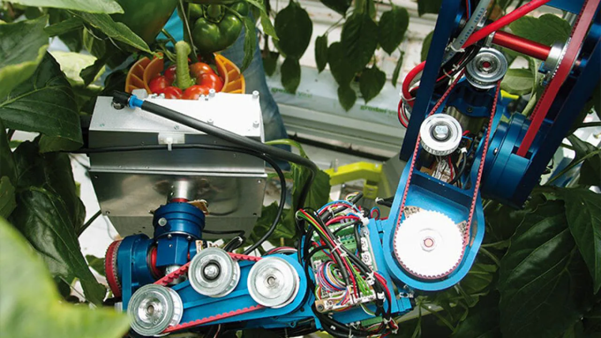 agriculture robot