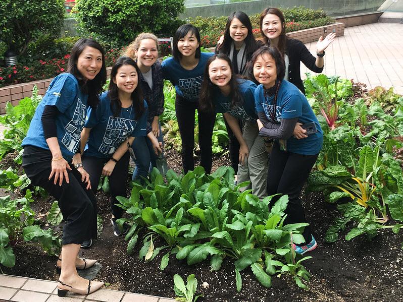 Employees at the urban farm in Hong Kong