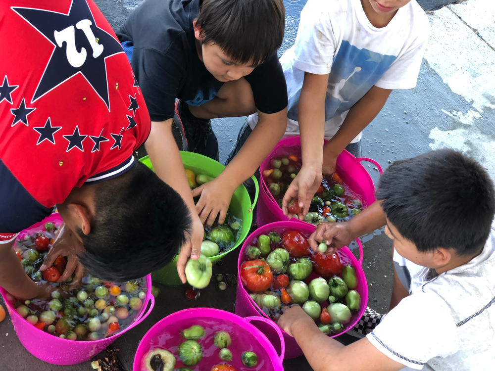 Children washing produce in plastic baskets