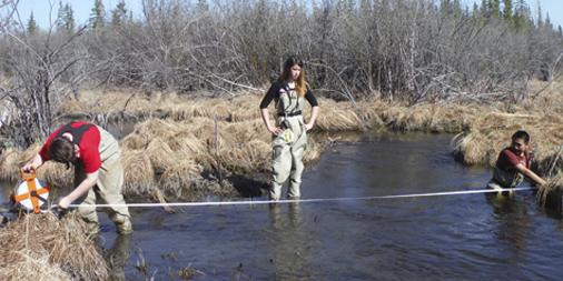 Volunteers survey a river for salmon