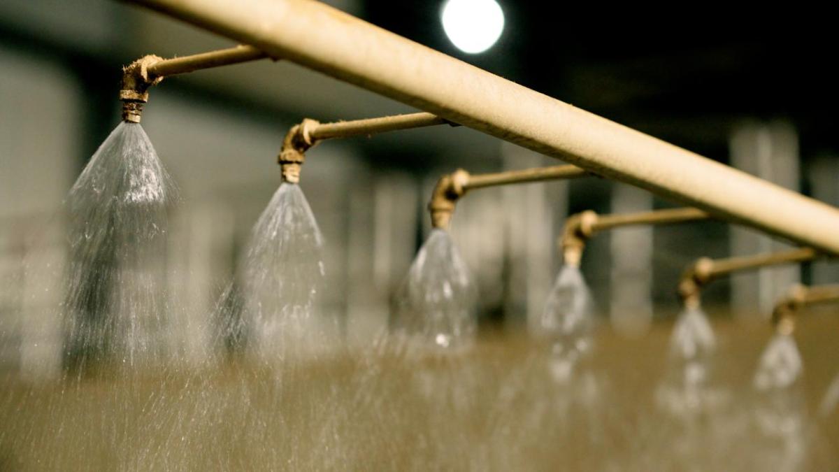 Water spraying out of taps