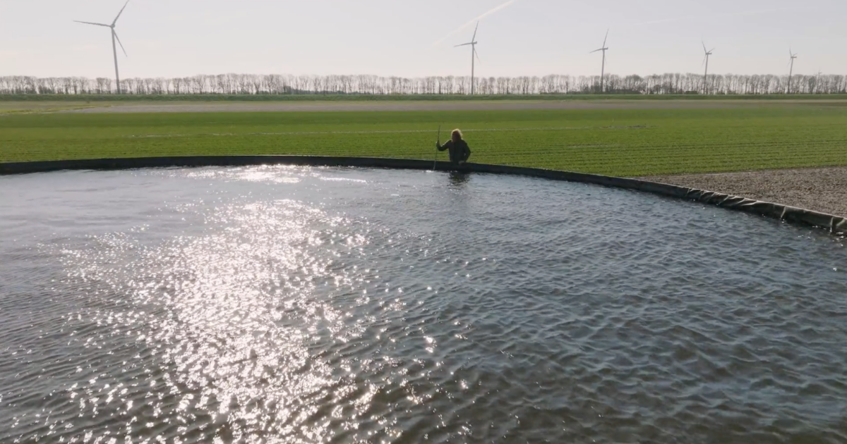 Large pool of water at a farm