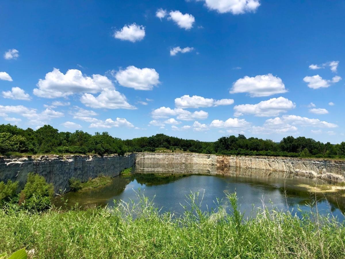 A scenic view of a body of water in a green area.