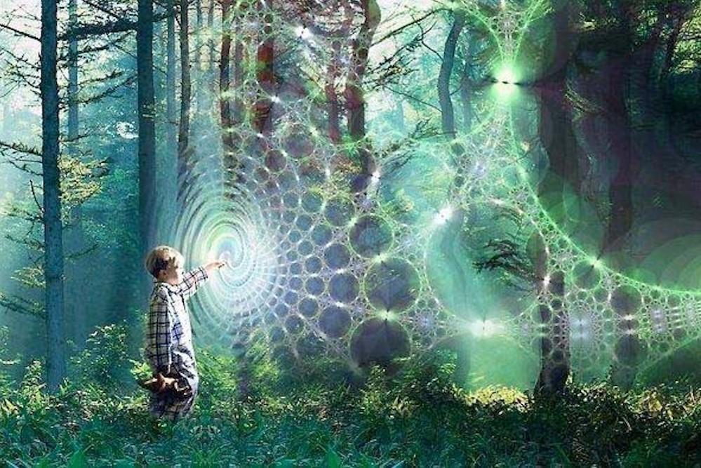 artistic representation of a child reaching out to touch a web of light in a forest