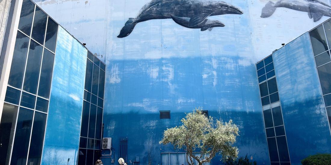 A whale painted on an exterior wall of a building 