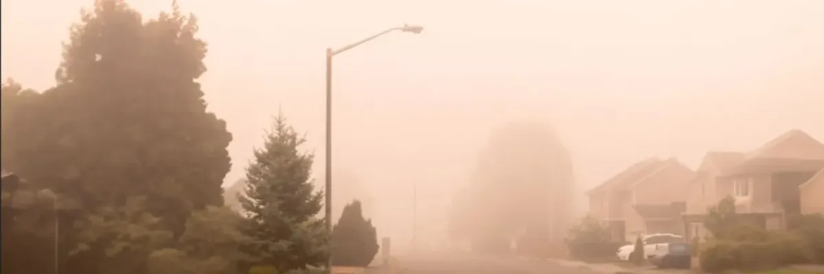 smoke from wildfires on suburban street