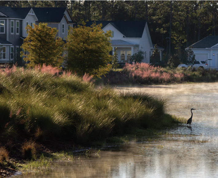 Homes in the background of a wetland and a long-neck bird.
