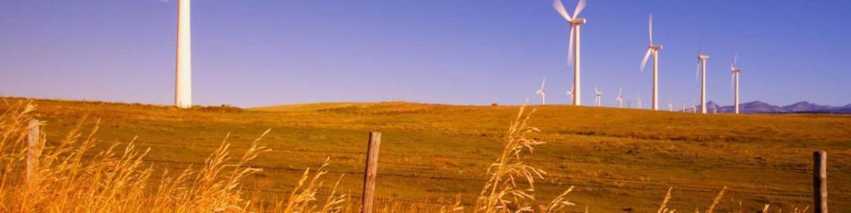 Wind turbines in a field