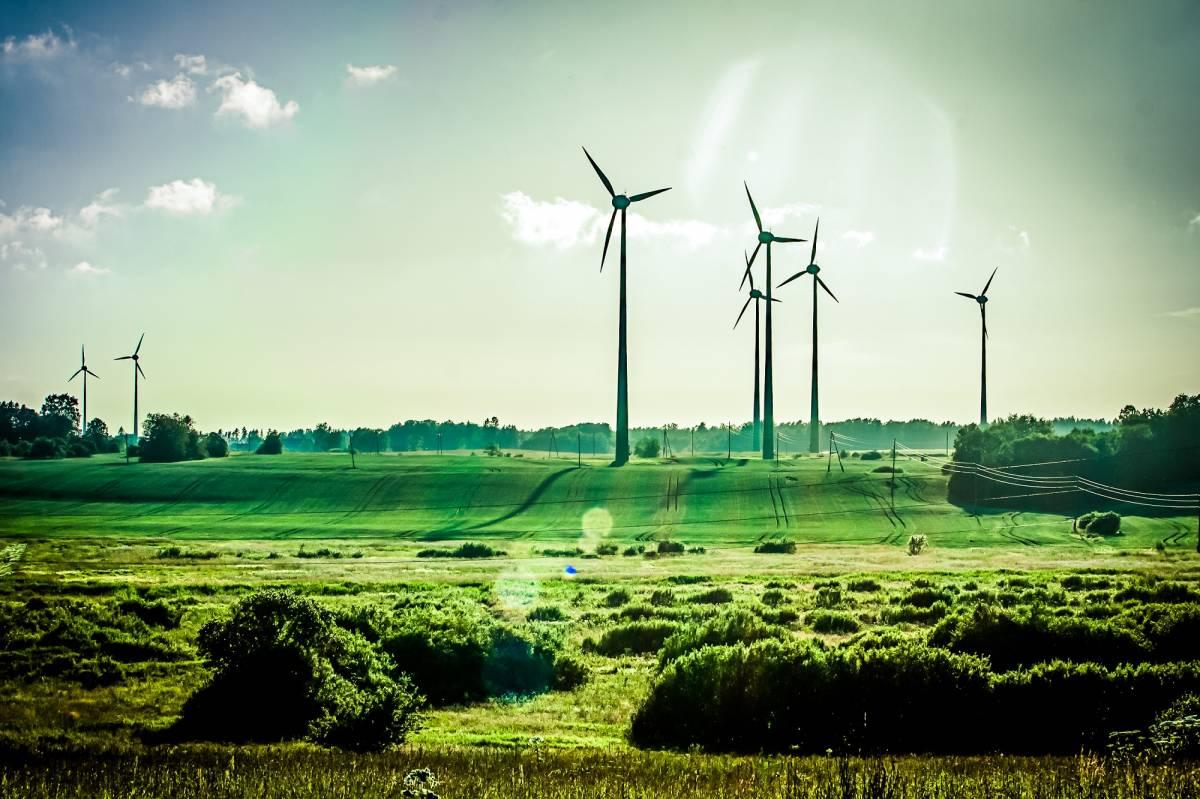 An open field and wind turbines