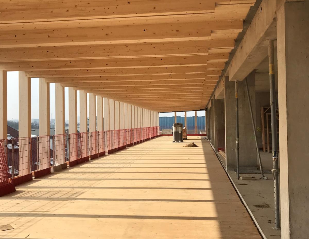 A pathway with a wooden roof