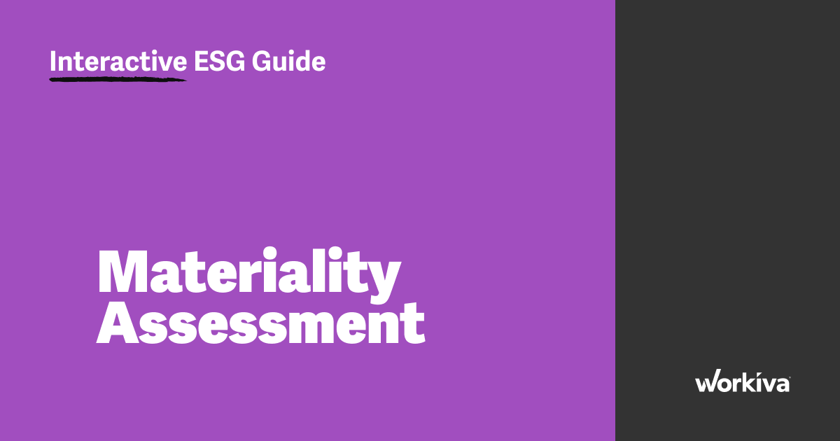 Interactive ESG Guide: Materiality Assessment by Workiva