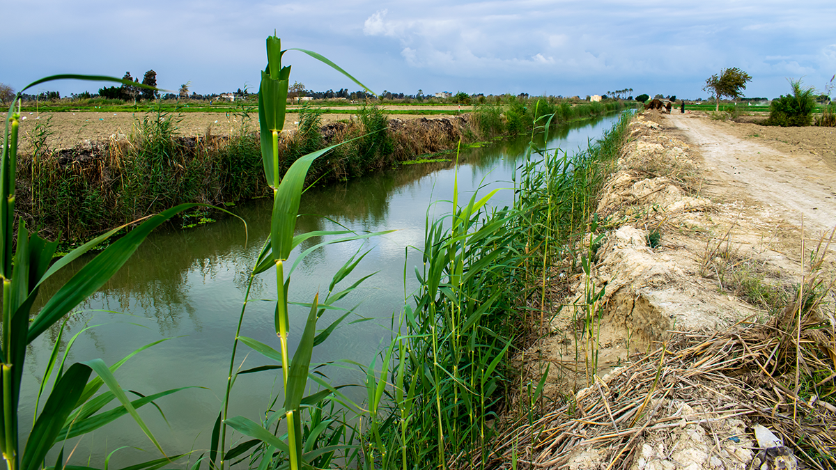 A long irrigation ditch. A dirt path beside it.